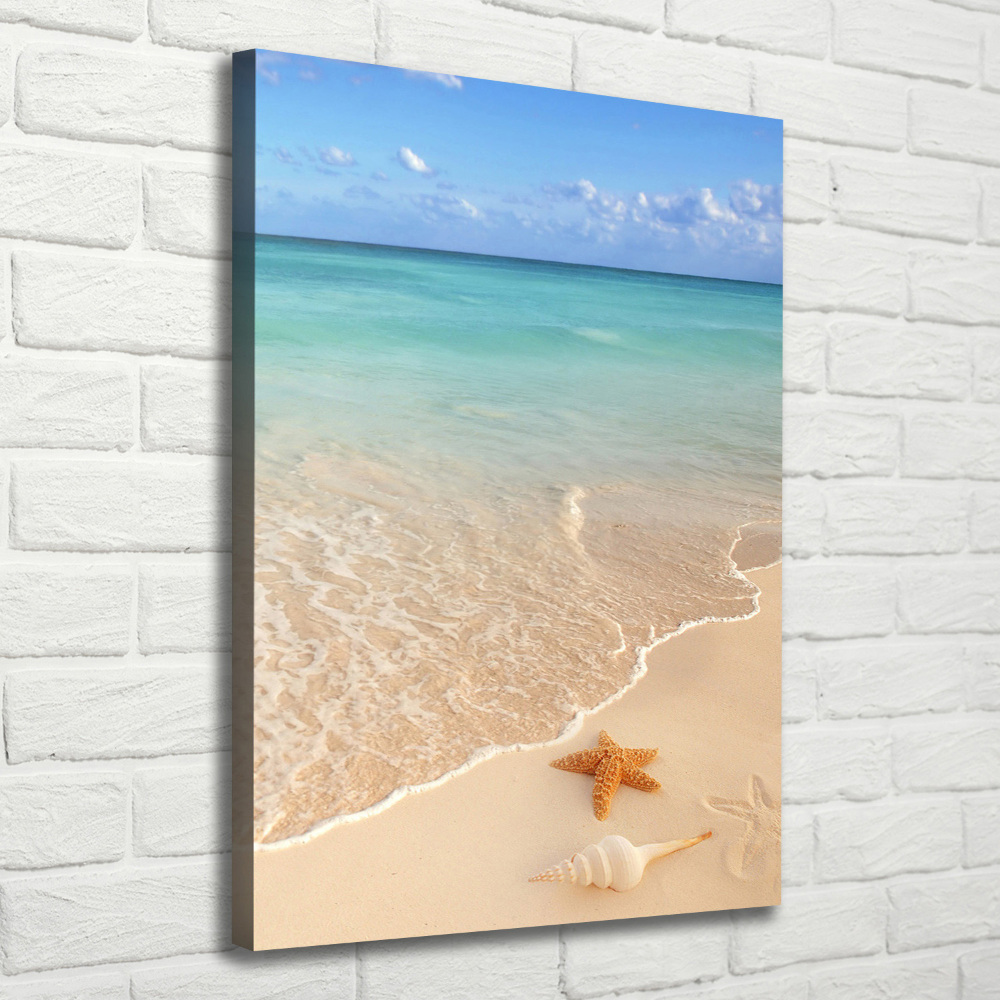 Canvas wall art Starfish