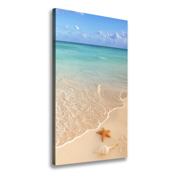 Canvas wall art Starfish