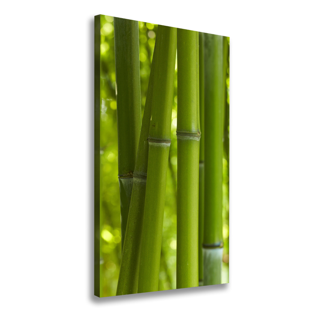 Canvas wall art Bamboo forest