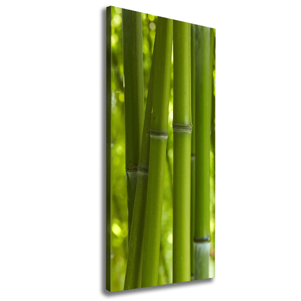 Canvas wall art Bamboo forest