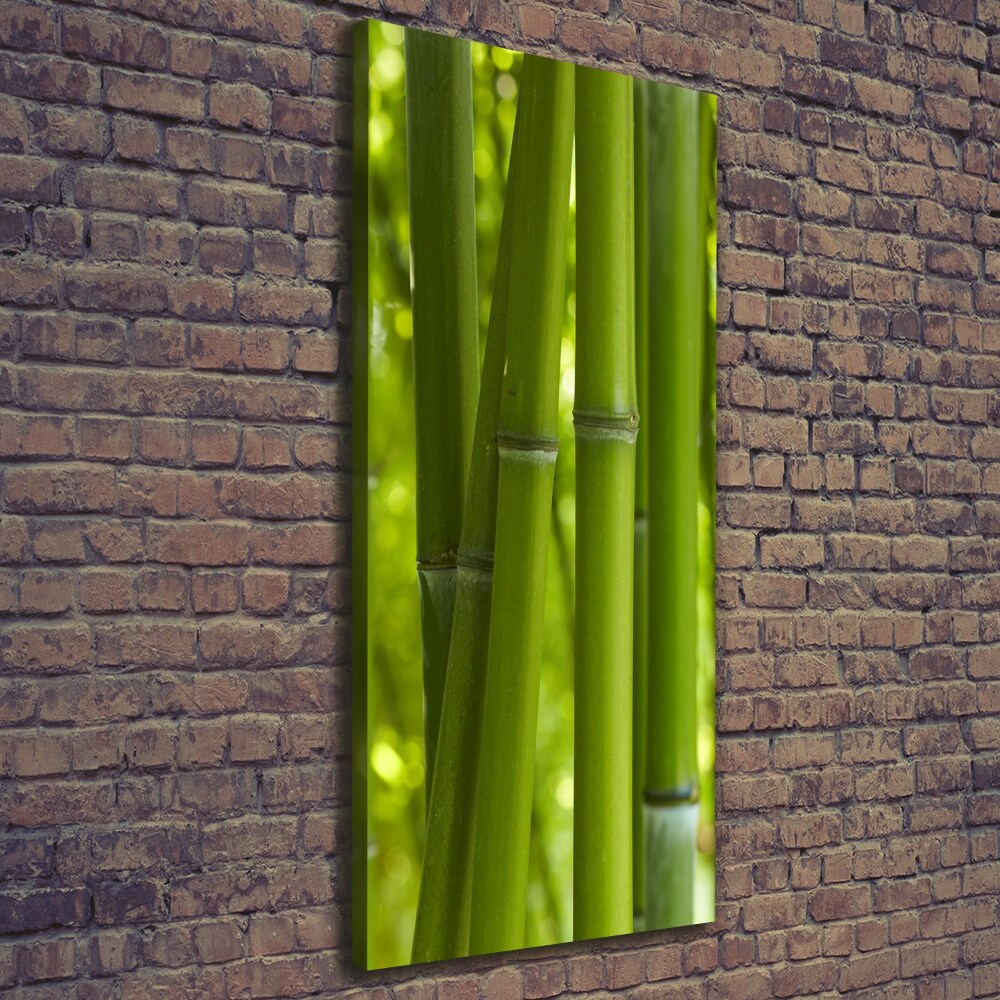 Canvas wall art Bamboo forest