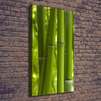 Canvas wall art Bamboo forest