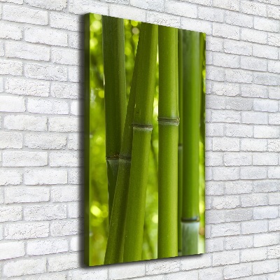 Canvas wall art Bamboo forest