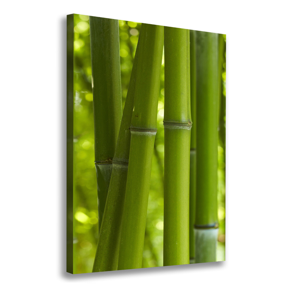 Canvas wall art Bamboo forest