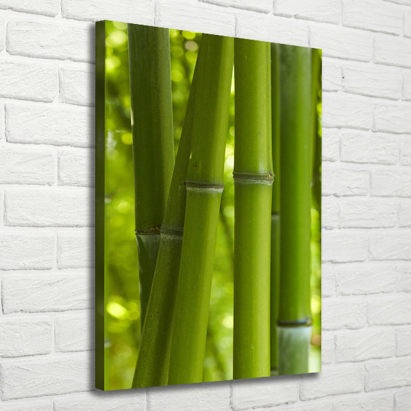 Canvas wall art Bamboo forest