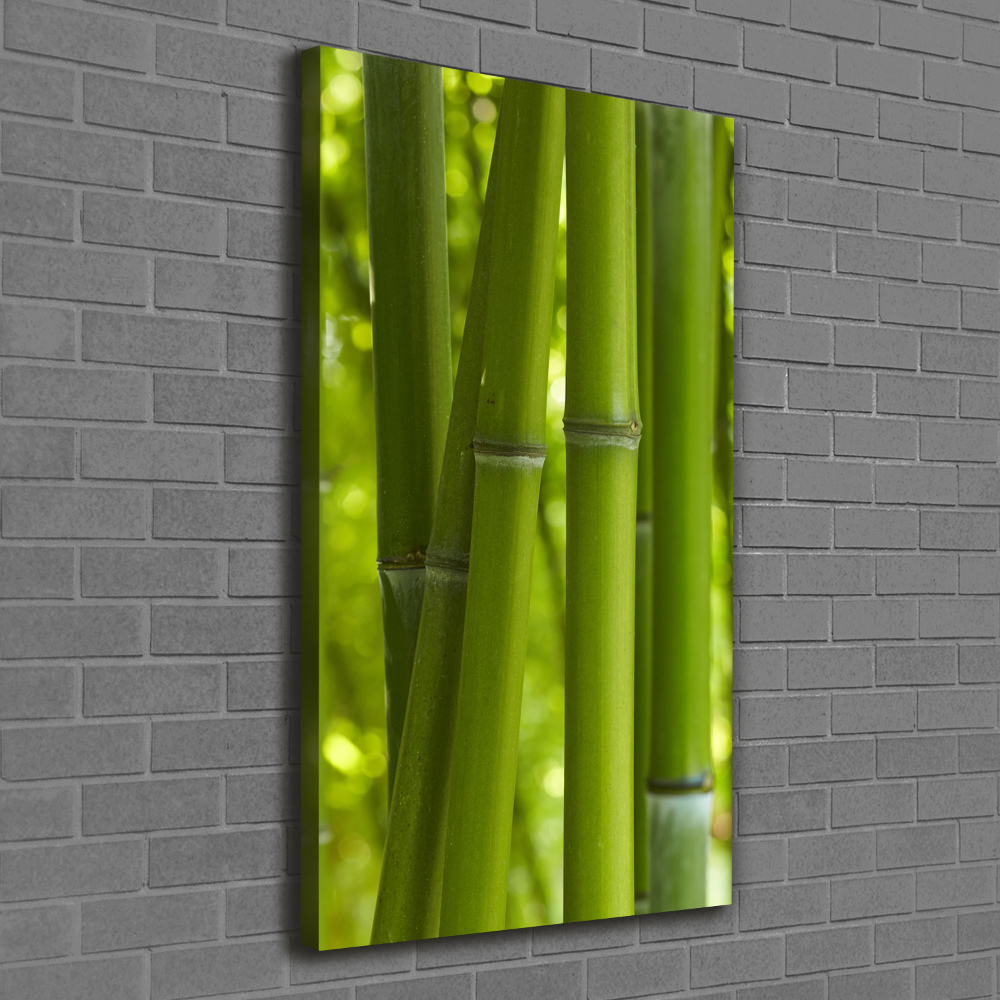 Canvas wall art Bamboo forest