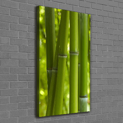 Canvas wall art Bamboo forest