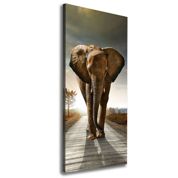 Canvas wall art Walking the elephant