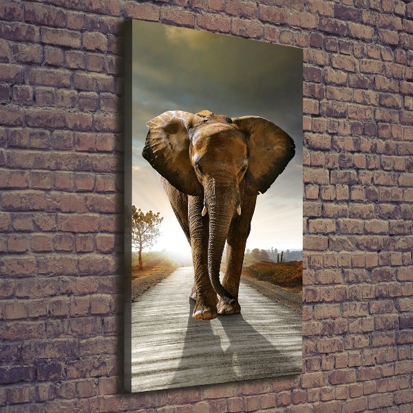 Canvas wall art Walking the elephant