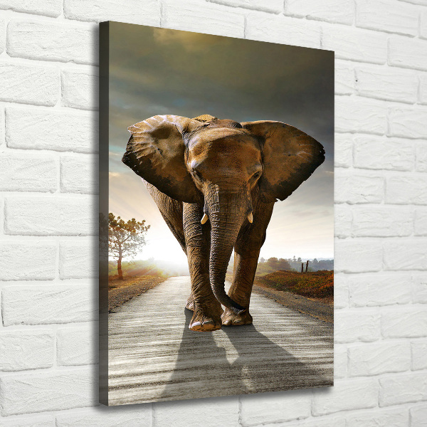 Canvas wall art Walking the elephant