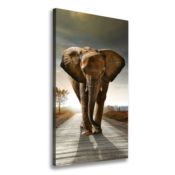 Canvas wall art Walking the elephant