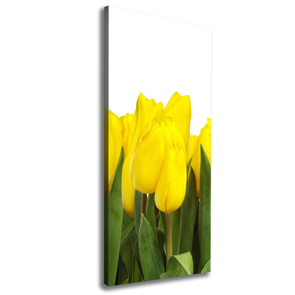 Canvas wall art Yellow tulips