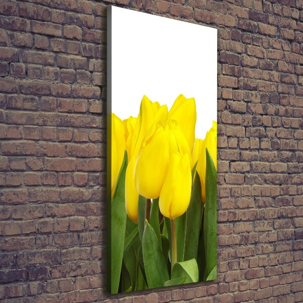 Canvas wall art Yellow tulips