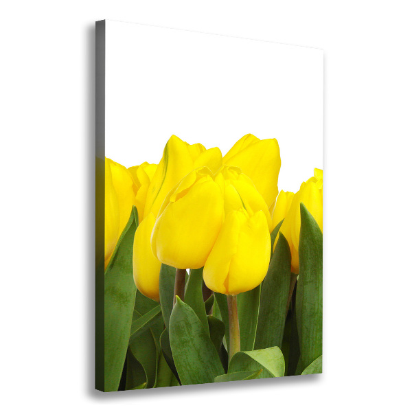 Canvas wall art Yellow tulips