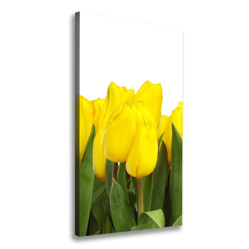 Canvas wall art Yellow tulips