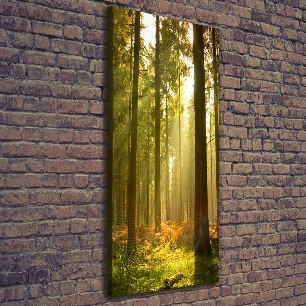 Large canvas wall art Beautiful forest