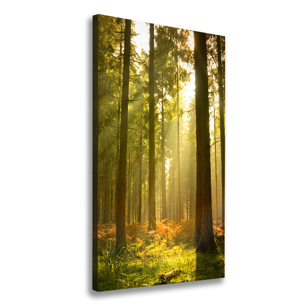 Large canvas wall art Beautiful forest