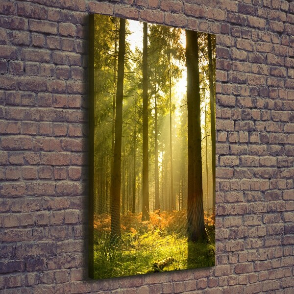 Large canvas wall art Beautiful forest