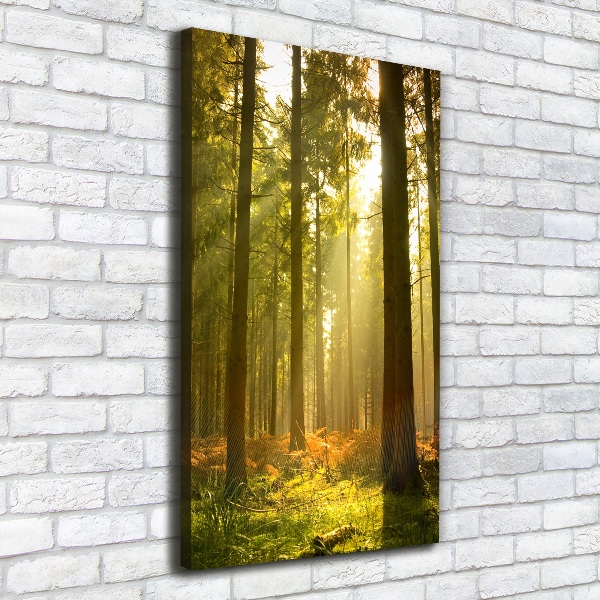 Large canvas wall art Beautiful forest