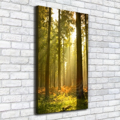 Large canvas wall art Beautiful forest