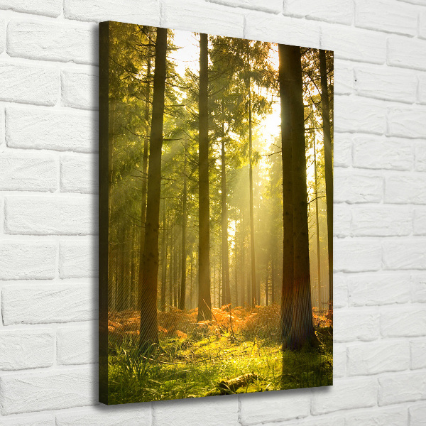 Large canvas wall art Beautiful forest