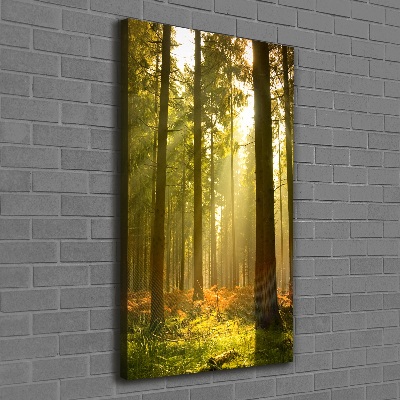 Large canvas wall art Beautiful forest