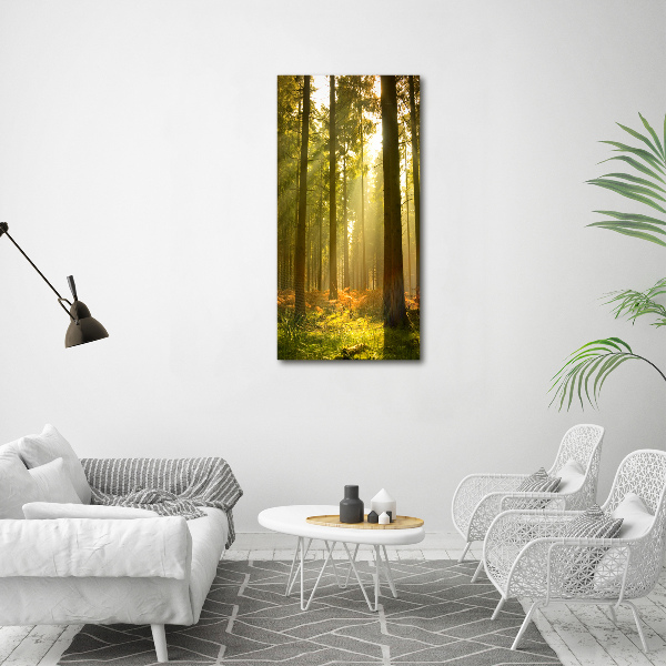 Large canvas wall art Beautiful forest