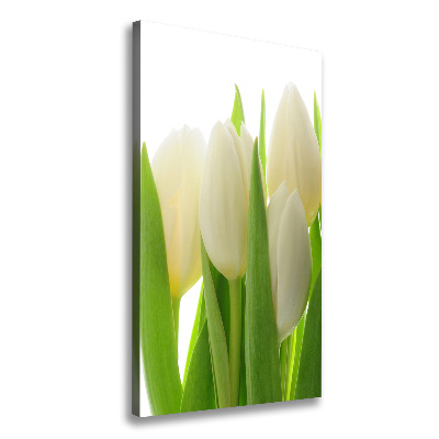 Canvas wall art White tulips