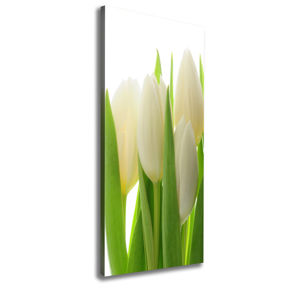 Canvas wall art White tulips