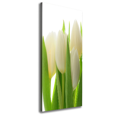 Canvas wall art White tulips