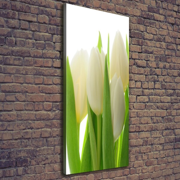 Canvas wall art White tulips