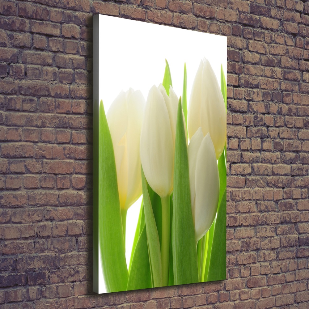 Canvas wall art White tulips