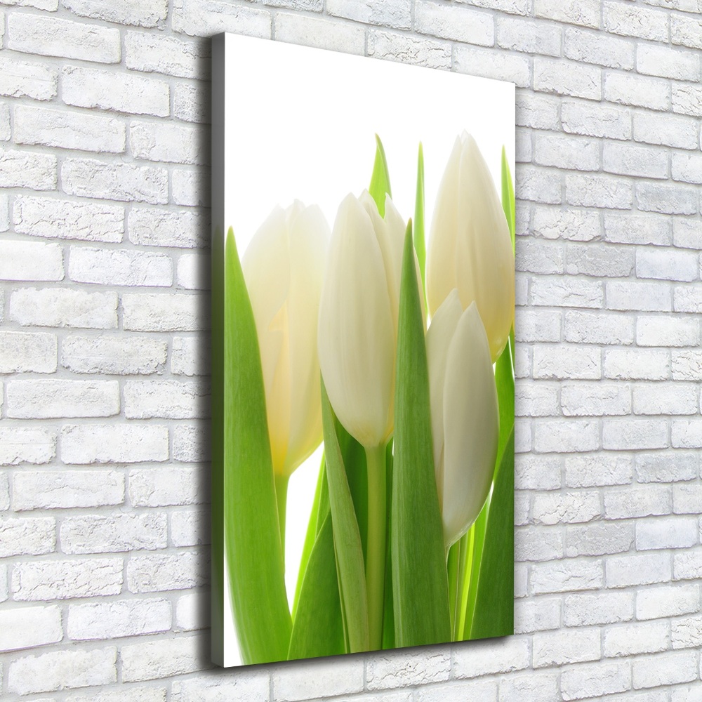 Canvas wall art White tulips