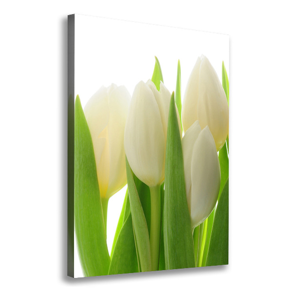 Canvas wall art White tulips