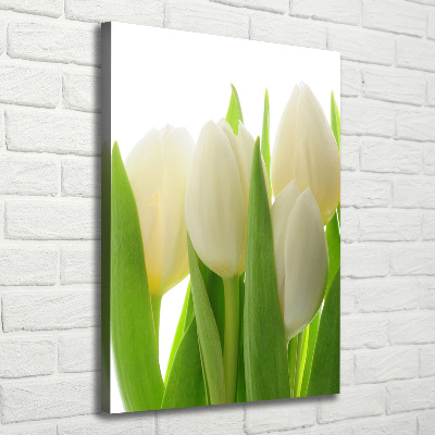 Canvas wall art White tulips