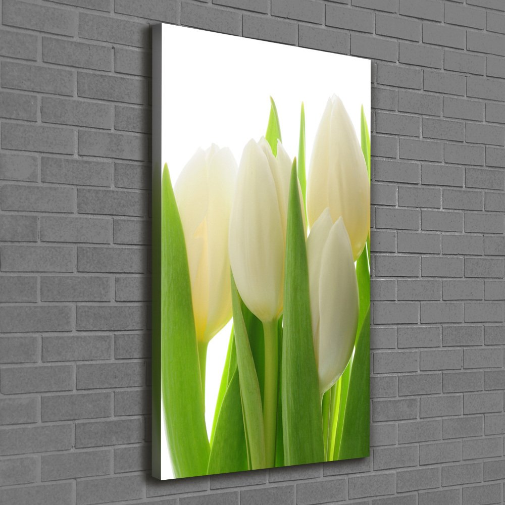 Canvas wall art White tulips