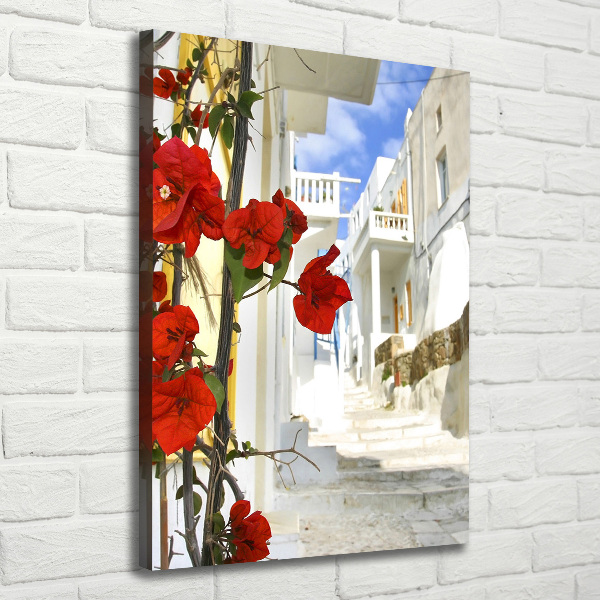 Canvas wall art Mykonos Greece