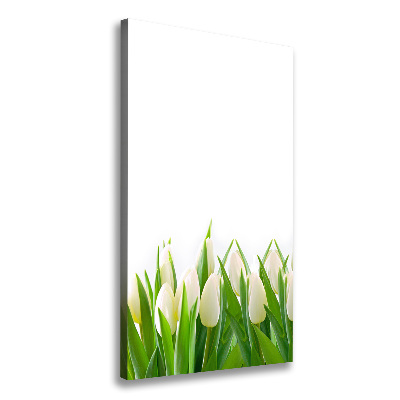 Canvas print White tulips