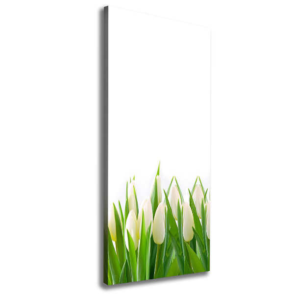 Canvas print White tulips