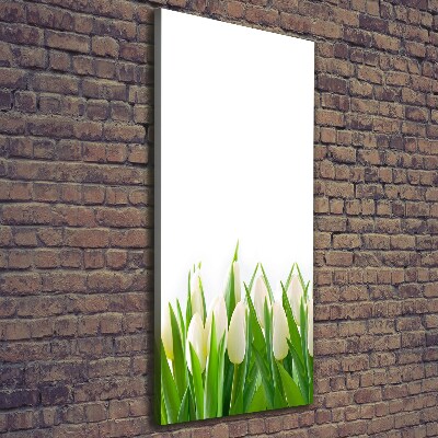 Canvas print White tulips