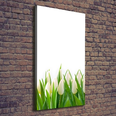 Canvas print White tulips