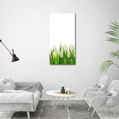 Canvas print White tulips