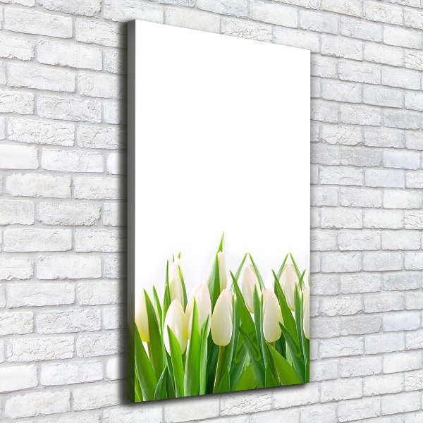 Canvas print White tulips