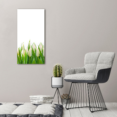 Canvas print White tulips