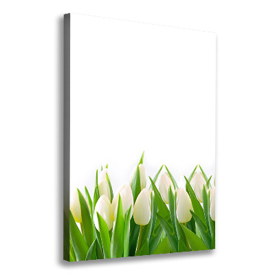 Canvas print White tulips