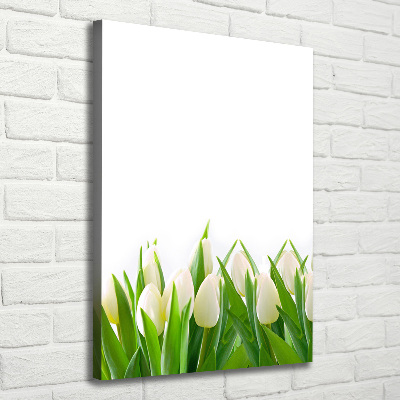 Canvas print White tulips