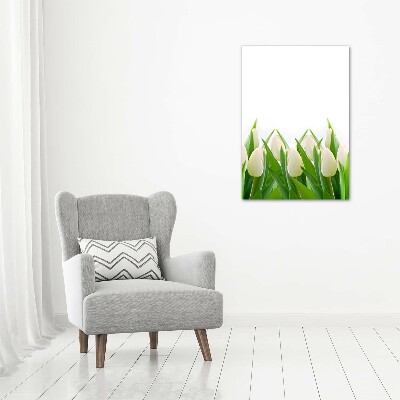 Canvas print White tulips