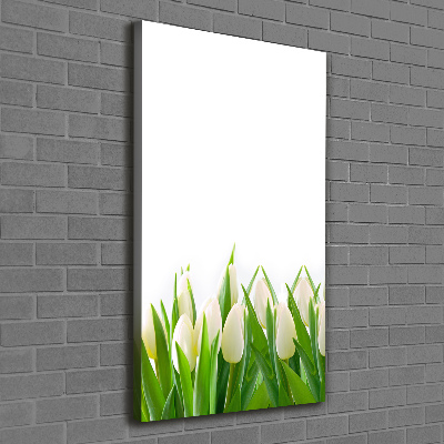 Canvas print White tulips