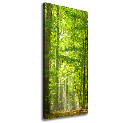 Canvas print Beech forest