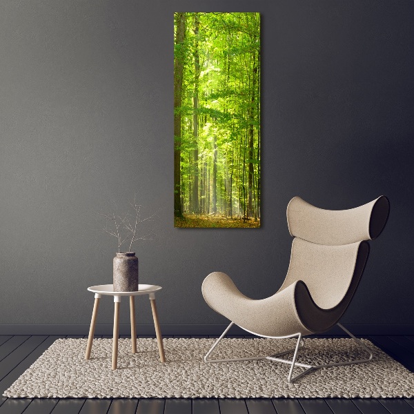 Canvas print Beech forest